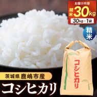 ★令和7年産★ 米 コシヒカリ３０kg (精米) 鹿嶋市産【こしひかり 米こめコメ茨城県 鹿嶋市 75000円以内】（KDS-3）