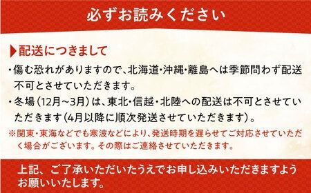 おまかせ 胡蝶蘭 ( ミディ 胡蝶蘭 3本立 ) 糸島市 / はざま園芸 [AND005] 胡蝶蘭 お祝い ギフト 贈答 洋蘭 開店祝い 新店 祝い 白