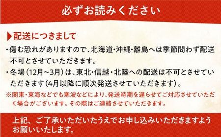 おまかせ 胡蝶蘭 ( ミディ 胡蝶蘭 3本立 ) 糸島市 / はざま園芸 [AND005] 花 生花 お祝い