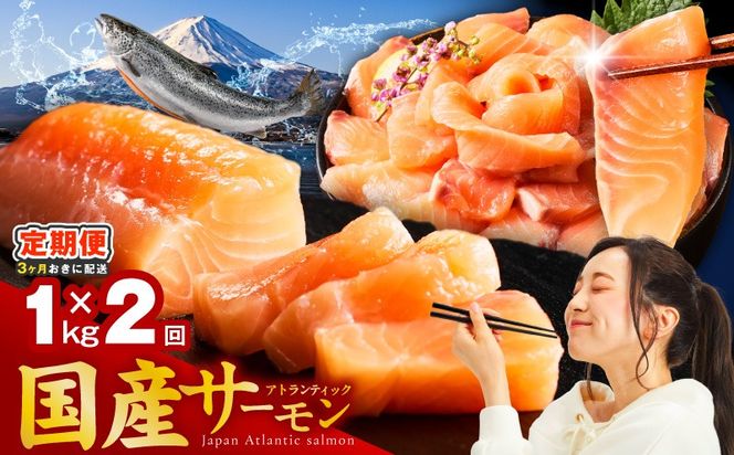 099Z616 【分けて届く定期便】国産アトランティックサーモン 1kg ポーション【小分け 真空パック 訳あり サイズ不揃い 刺身 海鮮丼 さーもん 鮭 さけ シャケ しゃけ 冷凍 全2回】