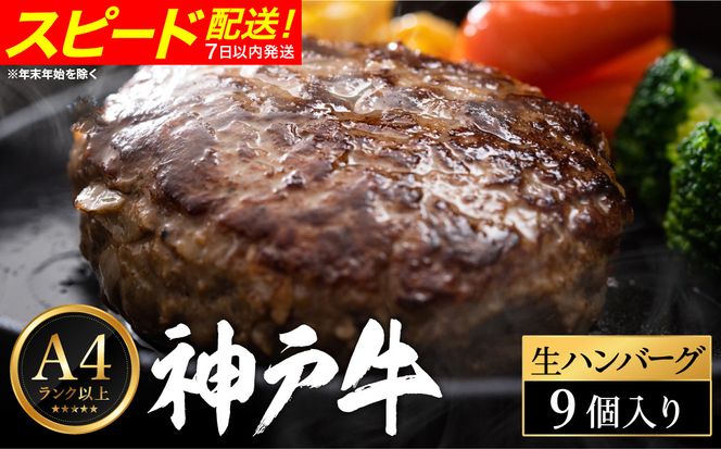 神戸牛 生ハンバーグ （100g×9個） 【帝神志方ミート】
