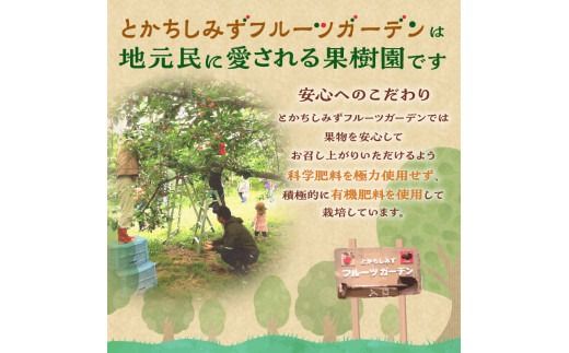 【2025年発送先行予約！】とかちしみずフルーツガーデンのハスカップ900g_S009-0005