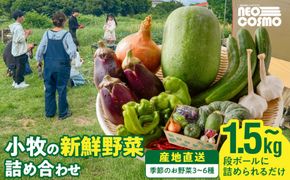 ★障がい者支援施設応援品★ ネオコスモ農園で採れた小牧の野菜詰め合わせ［124N02］