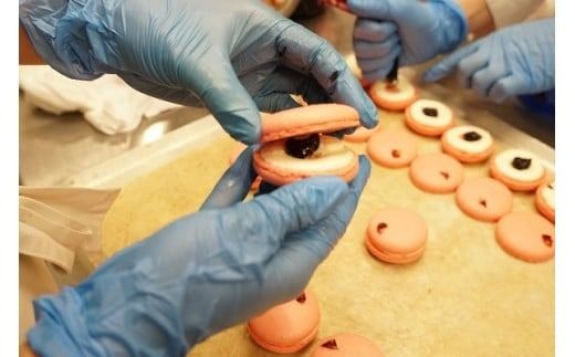 D394 T_H_mdr マカロン詰め合わせ