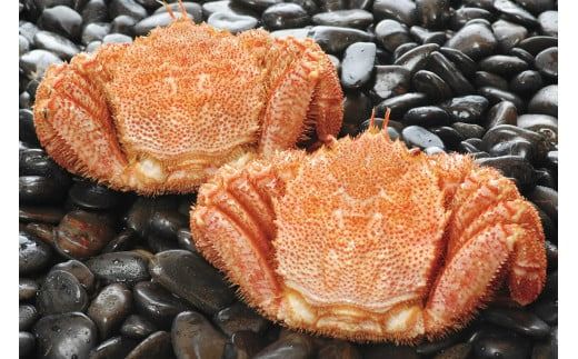 北海道産毛がに甲羅盛プレミアム（2個入）_HD098-003