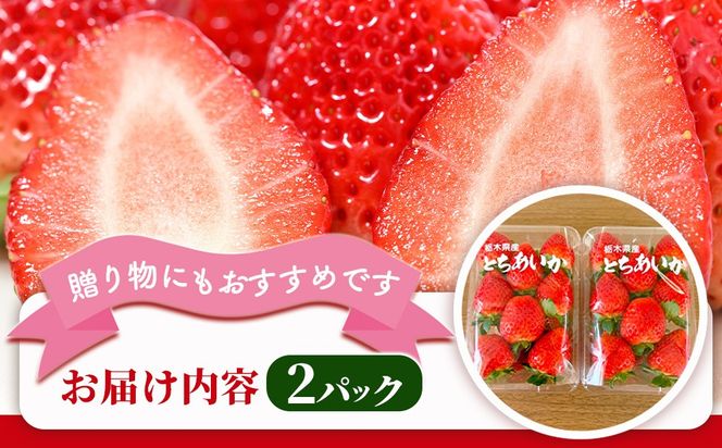【先行予約】出会いの森いちご園 とちあいか （290g×2パック） | いちご イチゴ 苺 栃木県 果物 くだもの フルーツ とちあいか 新鮮 贈答 ギフト デザート スイーツ ※離島への配送不可 ※2026年12月上旬頃から2027年3月下旬頃に順次発送予定