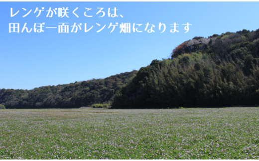 【先行予約】レンゲ 栽培米 夢つくし 10kg 【2025年10月以降順次発送】《築上町》【久楽農園】 [ABAT002]