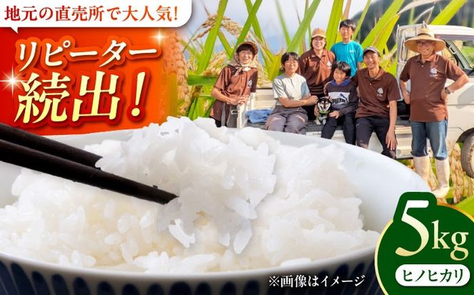 福岡県 糸島市産 白米　ヒノヒカリ　5kg 糸島市 / 谷川農園 コメ 米 ひのひかり[AVQ006]