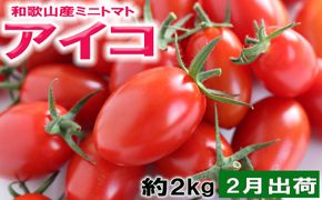 ［2027年2月出荷分］和歌山産ミニトマト「アイコトマト」約2kg（M・Lサイズおまかせ）［TM261］ 303446_XH92284