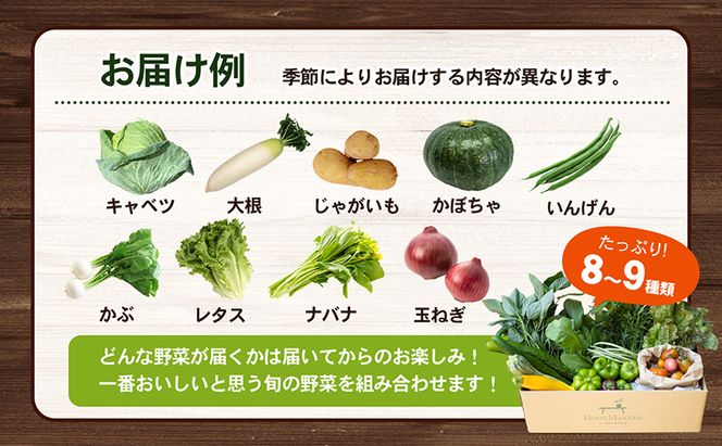 【 小豆島 】 瀬戸内 小豆島そだちの旬野菜 セット 農家直送 野菜 やさい 旬 旬野菜 新鮮 詰め合わせ 直送 国産 小豆島産 香川 香川県 土庄 土庄町