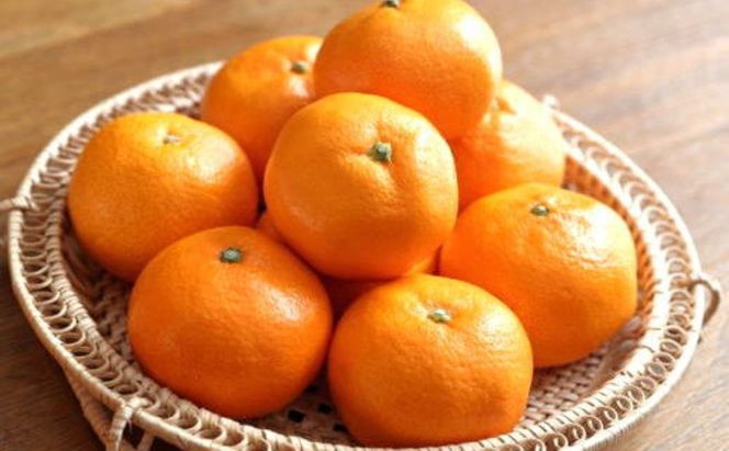 [秀品]有田のブランドみかん「賢みかん」10kg （2Sサイズ）［2026年11月中旬頃より順次発送］ BZ140