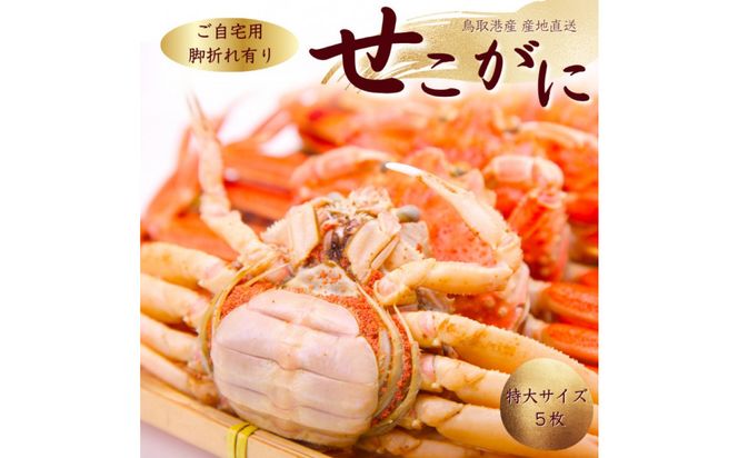 【訳あり】セコガニ 特大サイズ 5枚 (茹で) 312011_FT018