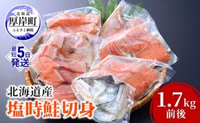 北海道産 塩時鮭 切身 1.7kg前後 鮭 時鮭 焼き魚 時知らず シロサケ 贈答