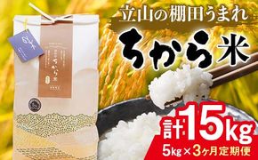 ＜定期便＞立山のちから米 令和7年産 コシヒカリ 各5kg ＜全3回＞ 計15kg 3ヶ月連続 5kg 定期便 定期配送 ちから米 こしひかり 銘柄米 ブランド米 国産 米 お米 日本米 ギフト F6T-912