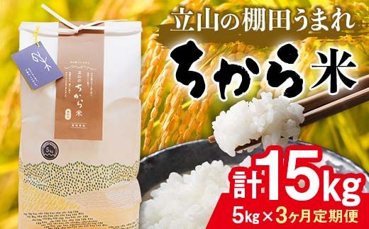 ＜定期便＞立山のちから米 令和7年産 コシヒカリ 各5kg ＜全3回＞ 計15kg 3ヶ月連続 5kg 定期便 定期配送 ちから米 こしひかり 銘柄米 ブランド米 国産 米 お米 日本米 ギフト F6T-912