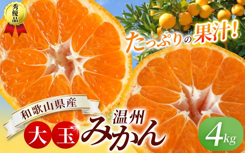 ボリューム満点! 秀優品 大玉 温州みかん 4kg[2L〜3Lサイズ][2025年12月から2026年2月下旬頃に順次発送][味好農園]/ 温州 蜜柑 みかん 柑橘 果物 フルーツ ミカン 甘い 美味しい[agy018A]