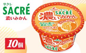 ◇期間限定◇サクレ濃いみかん 10個セット ｜ フタバ食品 アイス かき氷 デザート ※離島への配送不可