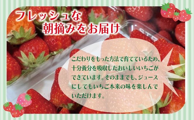 y{򍲖sz005A359 yʋKizE݊n 2pbNyϔ 200g×2P  C`S t[c ʕz