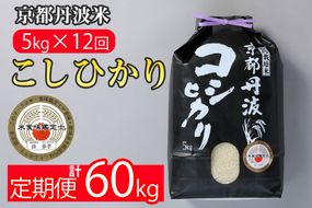 【寄附額改定】【定期便】米 京都丹波米こしひかり5kg×12回 計60kg〇12ヶ月 12か月 白米 ※精米したてをお届け ｜契約栽培米 緊急支援 米 コシヒカリ 京都丹波産 ※北海道・沖縄・離島への配送不可【～3月31日まで】