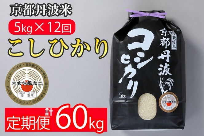 【寄附額改定】【定期便】米 京都丹波米こしひかり5kg×12回 計60kg〇12ヶ月 12か月 白米 ※精米したてをお届け ｜契約栽培米 緊急支援 米 コシヒカリ 京都丹波産 ※北海道・沖縄・離島への配送不可【～3月31日まで】