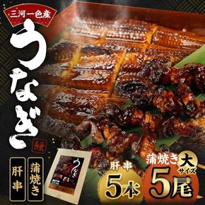 三河一色産 うなぎ蒲焼き 大5尾 ＋ 肝串焼き 5本 蒲焼タレ 肝串焼き 鰻 お魚 湯煎 惣菜 セット 簡単調理 冷凍 幸田町 送料無料