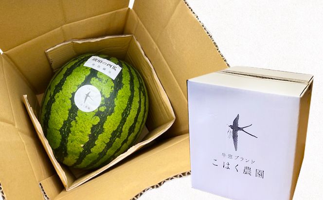 こはく農園 瀬戸内市牛窓産 琥珀の西瓜【金色羅皇品種使用】黄色 1玉(約7～9kg) スイカ 西瓜 フルーツ 国産 岡山 瀬戸内市