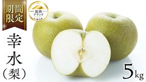 【 JA 北つくば 】 筑西ブランド 認証品 幸水 5kg 2026年産 先行予約 梨 果物 フルーツ なし ナシ 幸水梨 くだもの デザート 茨城 [AE008ci]