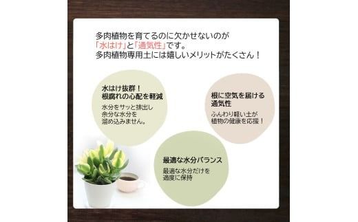 E102 培養土　【植え替え土セット】　多肉植物の土