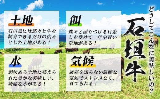 【合計1.5kg】石垣牛 100% 極めハンバーグ 150g×10個 ≪肉職人が作ったこだわりハンバーグ≫ 【石垣牛 沖縄県 石垣市 石垣島 牛肉 牛 肉 黒毛和牛】 TM-6