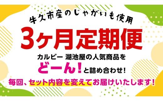  【 スナック菓子 3ヶ月 定期便 】 カルビー 湖池屋 人気 48袋 詰め合わせ バラエティ セット スナック ポテトチップス ポテチ ポテトチップ 菓子 お菓子 おかし おやつ おつまみ 大量 BIGBAG 堅あげポテト のりしお うすしお ブラックペッパー 頒布会 ジャガイモ じゃがいも まとめ買い [DA018us]