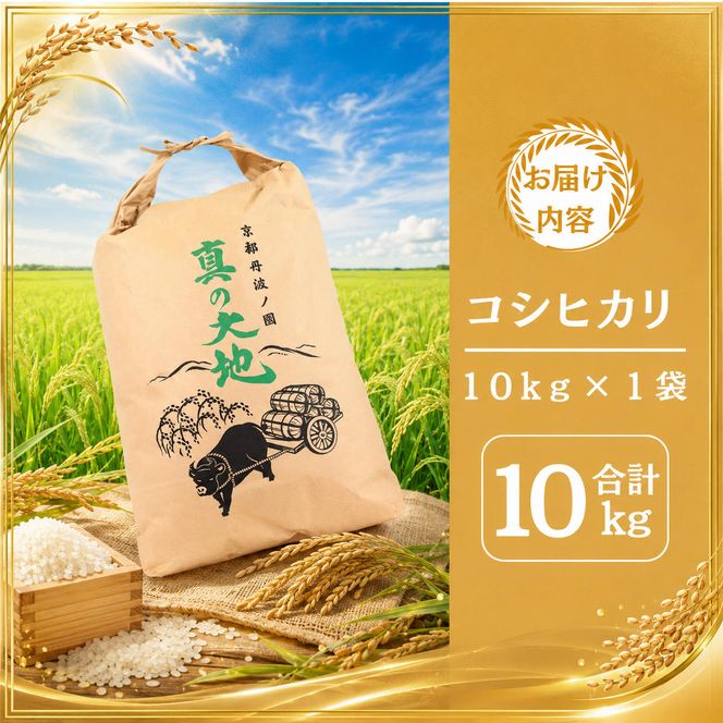 令和8年産 京都丹波産 コシヒカリ 10kg 京都 丹波 お米 米 産地直送 令和8年 10キロ 新米 新米26