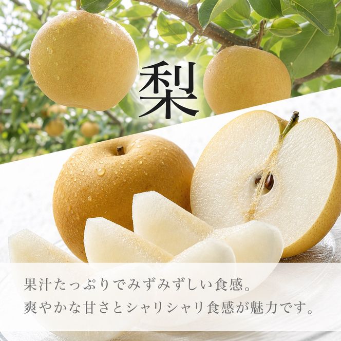 【全2回 定期便】 紀州和歌山産旬のフルーツセット（8月：桃約1.8kg・9月：梨約2kg） ［UT139］ 303446_XF91185