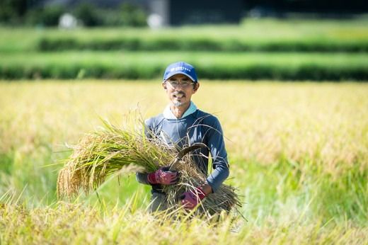 【令和6年産】【自然環境米】鬼北のせせらぎ5kg（鬼北産コシヒカリ） ｜ お米 お米不足 お米品薄 おいしい お米 事業者支援 送料無料 白米 精米 国産 限定 ごはん ご飯 白飯 ゴハン 愛媛県産 鬼北町　＜米 コメ こめ 精米 お米 白米 コシヒカリ 環境に優しい こだわり 持続可能 愛媛県 鬼北町 ＞