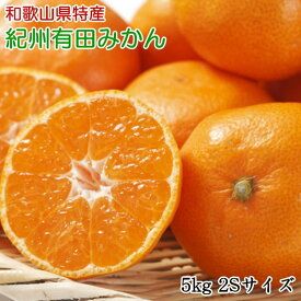ZD7013_【2026年先行予約】【秀品】和歌山 有田みかん 5kg（2Sサイズ）