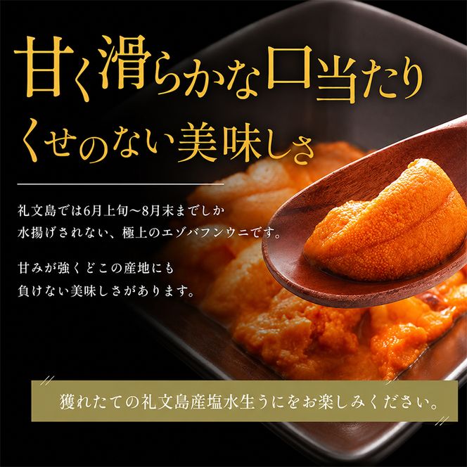 【礼文島リボンプロジェクト】北海道 礼文島産 ミョウバン不使用 塩水ウニ エゾバフンウニ 100g×2パック(ピンバッジ付)［野崎水産］【 うに ウニ 雲丹 生うに 塩水うに バフンウニ 自然保護 寄付 海鮮 】
