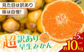 みかん 超訳あり早生みかん 約5kg 約10kg  《12月上旬-2月上旬頃出荷》 和歌山県 日高川町 みかん ミカン 早生みかん 蜜柑 柑橘 訳あり 果物 くだもの フルーツ 青果物---wshg_dsk98_12j2j_26_7000_5---