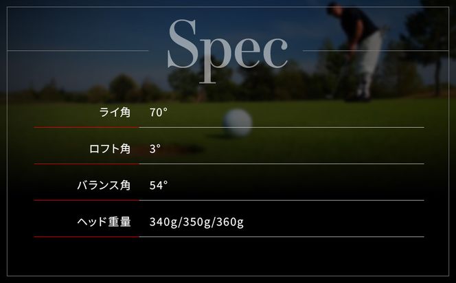 【ベノック】エスペードシリーズ「Waldstein～ワルドステイン～」［ 京都 ゴルフ パター 人気 おすすめ ブランド スポーツ プロも愛用 お取り寄せ 通販 送料無料 ふるさと納税 ］ 261009_B-FV17