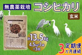 新米 [定期便／3ヶ月] 無農薬栽培 コシヒカリ《玄米》計13.5kg (4.5kg×3ヶ月連続)｜おいしい お米 コメ こめ ご飯 ごはん 白米 玄米 お取り寄せ 直送 贈り物 贈答品 ふるさと納税 埼玉 杉戸 [0566]