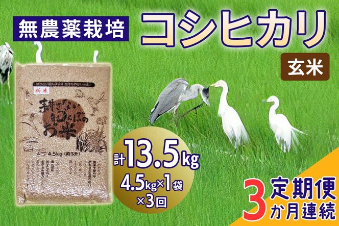 新米 [定期便／3ヶ月] 無農薬栽培 コシヒカリ《玄米》計13.5kg (4.5kg×3ヶ月連続)｜おいしい お米 コメ こめ ご飯 ごはん 白米 玄米 お取り寄せ 直送 贈り物 贈答品 ふるさと納税 埼玉 杉戸 [0566]