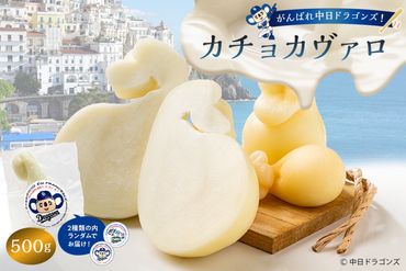 がんばれ中日ドラゴンズ！カチョカヴァロ500g【中日ドラゴンズコラボ】【0073-076】