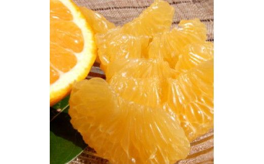【2027年先行予約】甘夏(あまなつ)秀品約7kg 和歌山県有田産 春みかん 春柑橘 (果実サイズおまかせ)/紀伊国屋文左衛門本舗_V7416