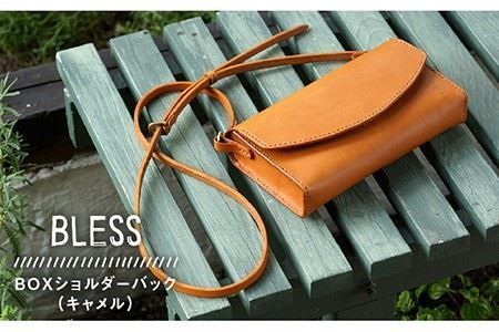 yszyoNωyޖ{vizBOX V_[ obN {v styBLESSz [AAA022]