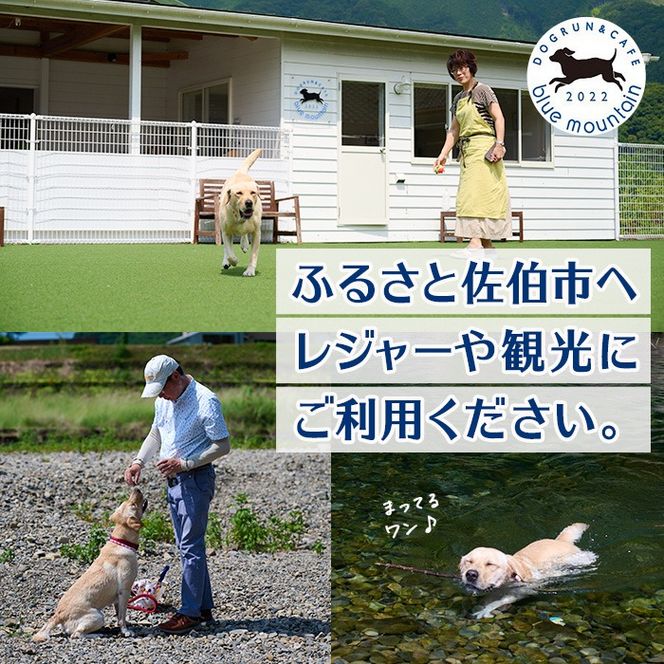 メール便でお届け！ドッグラン利用券(1頭5回分) 犬 ワンちゃん ペット チケット 体験 レジャー 自然 屋内 屋内 ラン 川遊び ポスト投函 大分県 佐伯市【HI002】【ドッグラン＆カフェblue mountain】