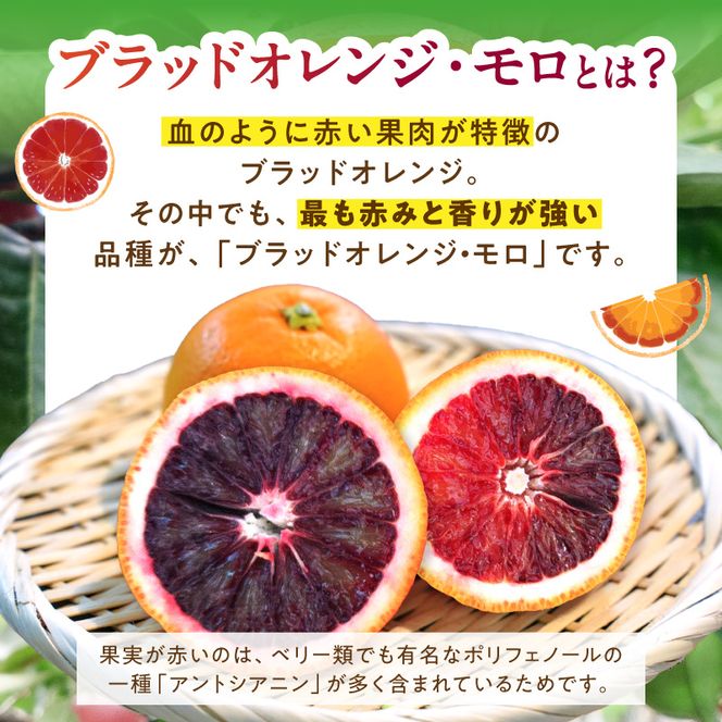 【2027年先行予約】庄助農園のブラッドオレンジ・モロ約3kg(サイズ混合・厳選採果)_BK6021