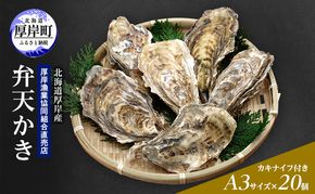 カキ 生食用 北海道 厚岸産 殻かき 新ブランド弁天かき A3サイズ  20個 牡蠣 魚貝類 生牡蠣 殻付き牡蠣 カキ