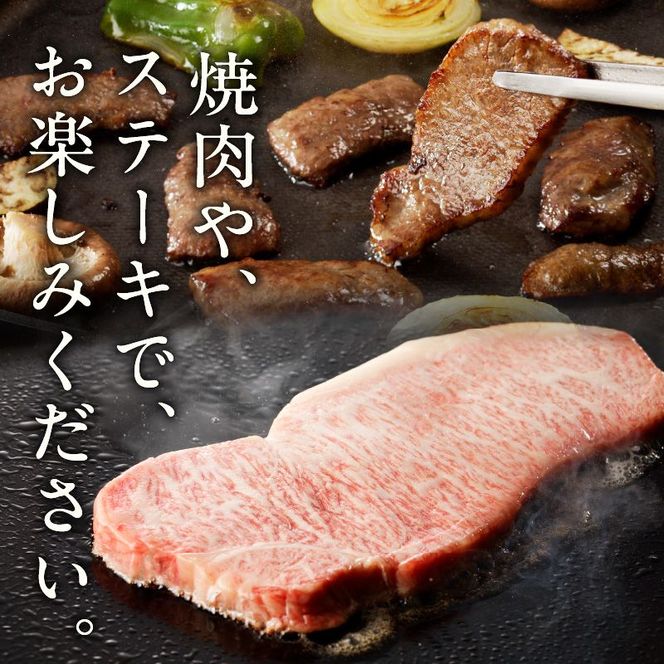 【3ヶ月定期便】【延岡産】宮崎牛3ヶ月定期便 N061-YG0195