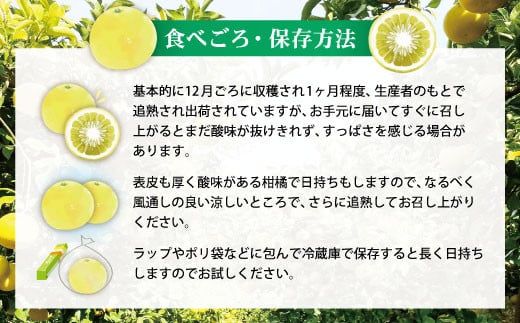 【先行予約】【訳あり】土佐文旦（ぶんたん）家庭用（M～5L）約3kg 〈2027年2月中旬～発送〉 文旦 3キロ 土佐文旦発祥の地 産地直送 約4～10玉 大玉 ぶんたん 訳あり【株式会社とさもん】 [BQAE043]