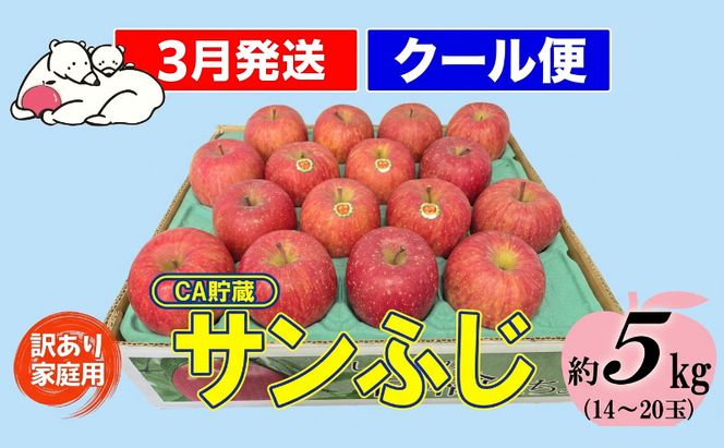 【クール便】3月発送 白熊 訳あり家庭用 サンふじ 約5kg 糖度13度【青森りんご 果物 フルーツ 食後 デザート シャキシャキ ジューシー りんごの王様 】