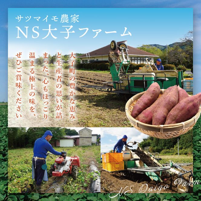 熟成さつまいも 3種食べ比べセット 合計5kg 詰め合わせ（紅はるか・シルクスイート・すずほっくり） ｜ 茨城県 大子町 サツマイモ べにはるか 焼き芋 ホクホク 野菜 数量限定 ねっとり しっとり(CH002)
