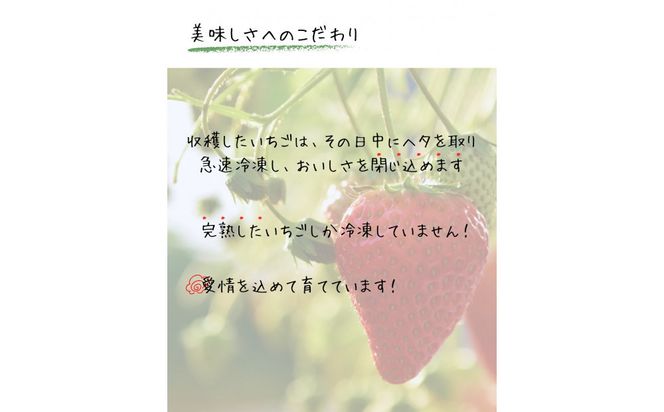 先行受付【2027年1月下旬～発送予定】【訳アリ 冷凍いちご】静岡県産の完熟紅ほっぺを使用した冷凍いちご大容量3kg!【静岡県産】 222232_CF005
